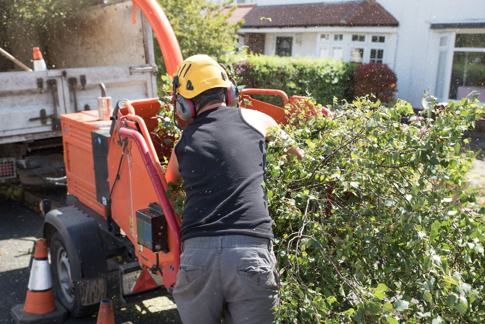 Reasons To Consider A Tree Removal Company In New Hope MN