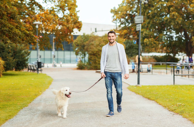 Using a Top Company Offering Dog Boarding in Manhattan Can Be Best