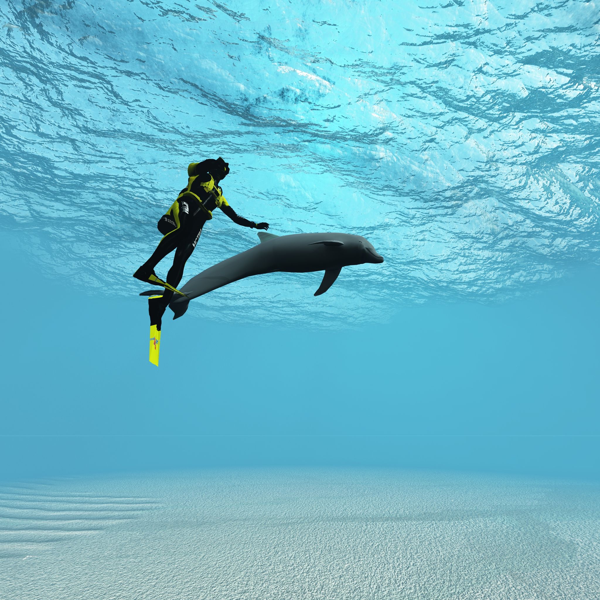 Magical Encounter Tips on an Unforgettable Dolphin Tour in Clearwater, FL