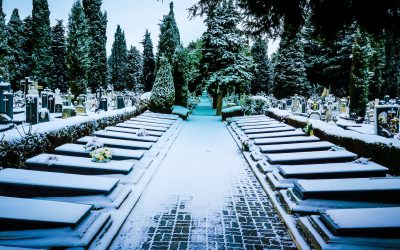 5 Suggestions to Help Your Search While Choosing the Hayward Holy Sepulchre Cemetery