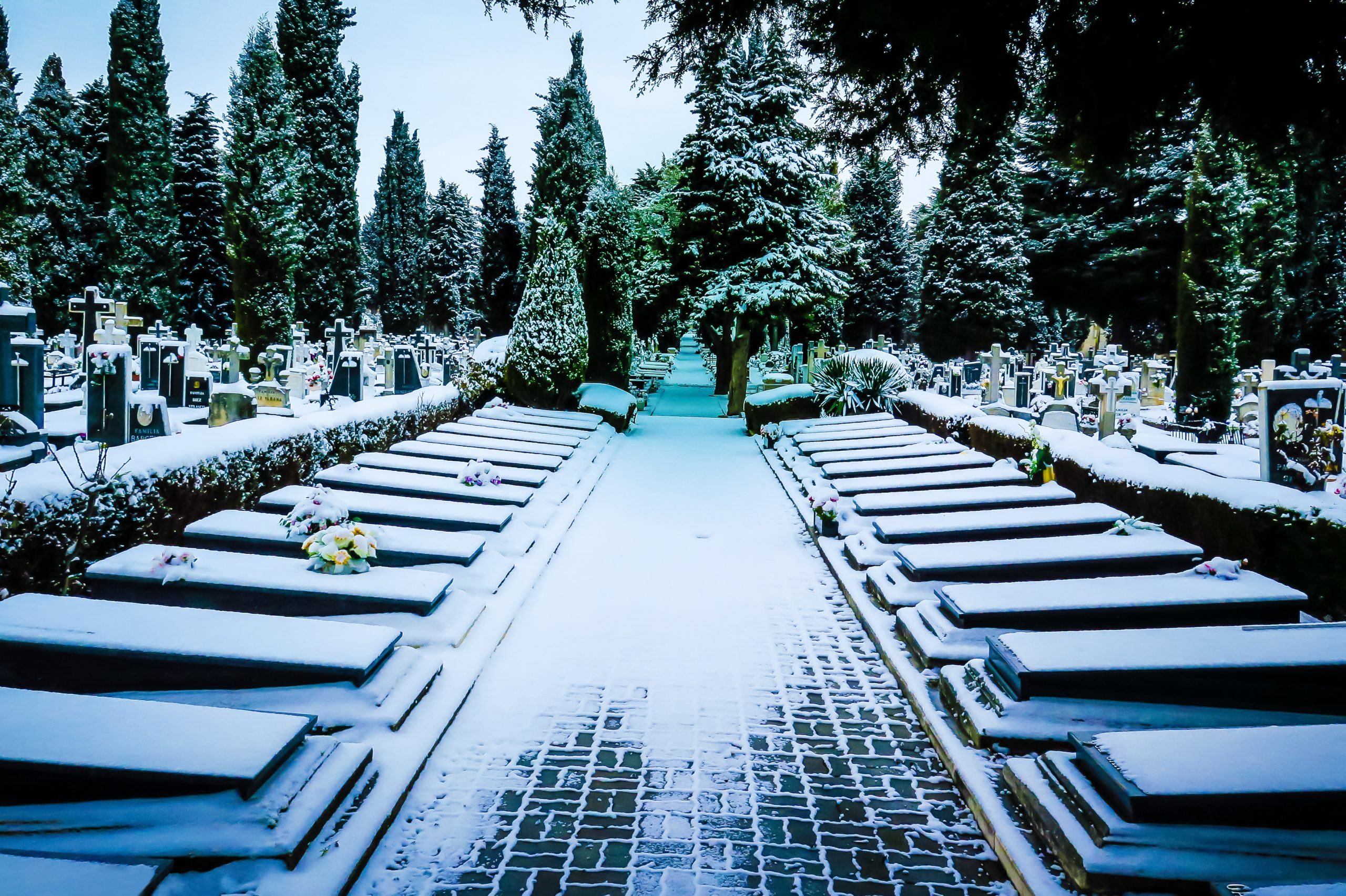 5 Suggestions to Help Your Search While Choosing the Hayward Holy ...