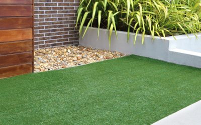 What Are the Benefits of Hiring a Sod Company in Riverside, CA, for Landscaping?