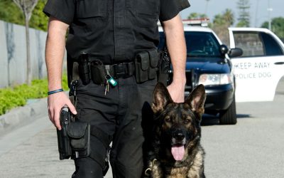 Experience Reliable Protection With Private Security Services In Los Angeles CA For Your Home