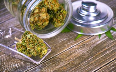 Enhance Your Wellness Routine With CBD Products in Missoula, MT, Residents Trust Most