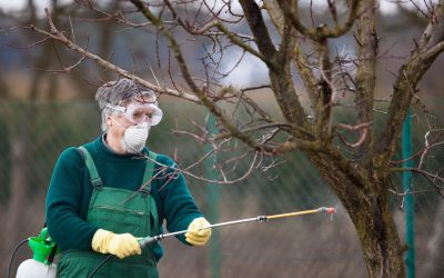 Control Persistent Weeds in Your Garden with Treflan Pre Emergents for Lasting Results