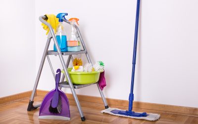 Make Your Space Shine Bright with Professional House Cleaning Lone Tree, CO Solutions