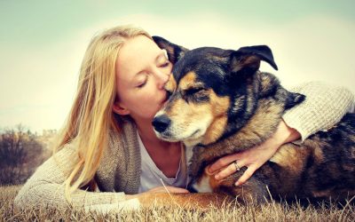 Finding Peace Of Mind With Dog Day Care In Upper East Side While You Work