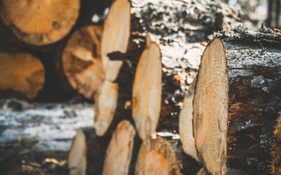 Enhance Your Projects with Wood Machining Services: Ohio Crafts for Precision Results