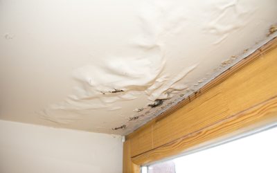 Fast and Reliable Water Damage Cleanup in Elmhurst IL Protects Your Home Investments