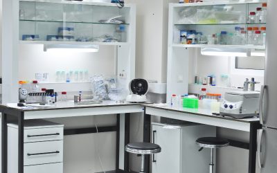 Improve Laboratory Safety and Workflow Efficiency with Horizontal Laminar Flow Hoods