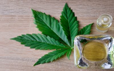Unlock Convenience with Same-Day Cannabis Delivery in San Pedro, CA, for Fast Local Service