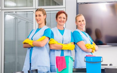 Freshen Up Your Living Space Using Professional House Cleaning in Lone Tree, CO