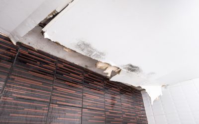 Prevent Mold With Professional Emergency Water Damage Cleanup in Joliet, IL